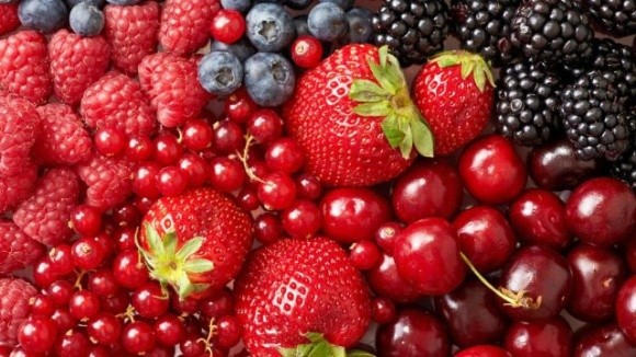 Складено рейтинг експортної привабливості плодово-ягідної та овочевої продукції фото, ілюстрація