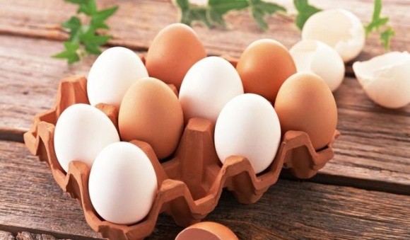 Україна встановила рекорд з експорту яєць фото, ілюстрація