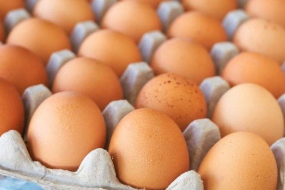 ЗМІ назвали тиск НАБУ на одного з великих виробників однією з причин подорожчання яєць фото, ілюстрація