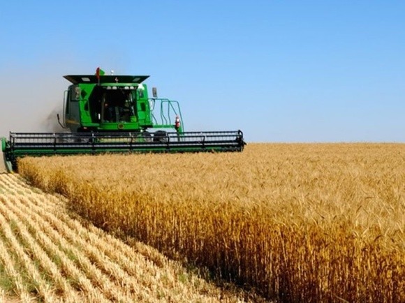 Господарства НААН демонструють рекордну врожайність зернових фото, ілюстрація