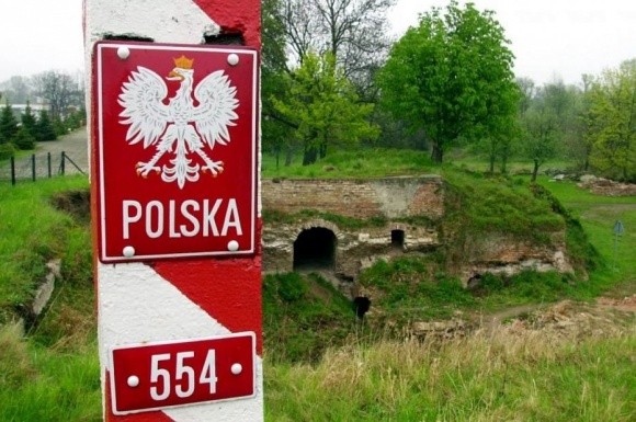 Польша отгородится от чумных кабанов из Украины забором фото, иллюстрация