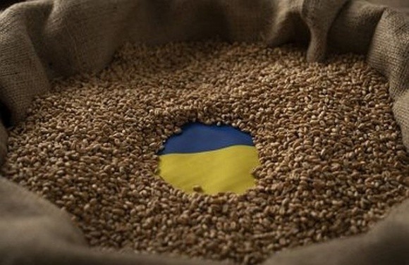 Шмигаль запропонував Словаччині скасувати односторонню заборону імпорту агропродукції з України фото, ілюстрація