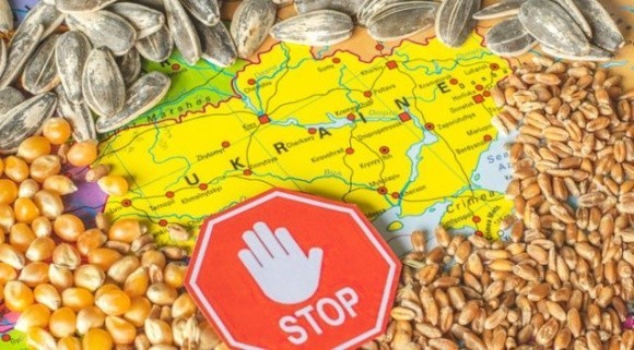 МЗС розкритикувало наміри п’яти країн ЄС продовжити заборону імпорту українського зерна фото, ілюстрація