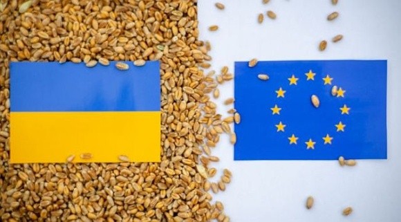 Аграрний комітет Європарламенту вважає, що потрібно посилити захист від української агропродукції фото, ілюстрація