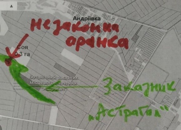 Фермери засіяли соєю частину заказника «Астрагал» на Київщині та знищили багато червонокнижних рослин фото, ілюстрація