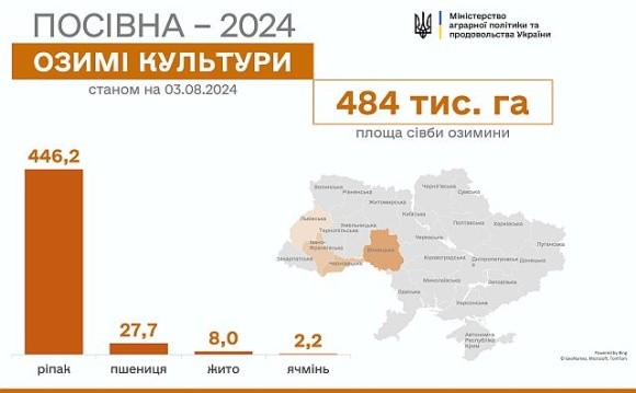 Осіння посівна-2024: дві області закінчили сіяти озимий ріпак фото, ілюстрація