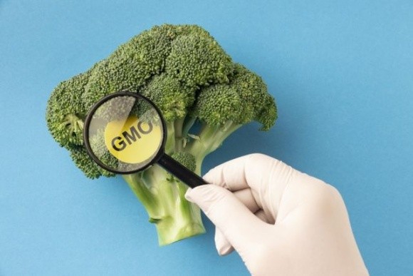 Парламент прийняв закон про ГМО фото, ілюстрація