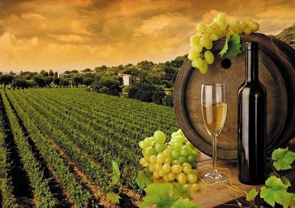 Парламент готується розглянути євроінтеграційний закон про виноград та продукти виноградарства фото, ілюстрація