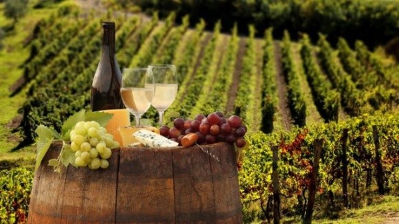 Новий закон про виноград та виноградне вино буде відповідати нормам ЄС фото, ілюстрація