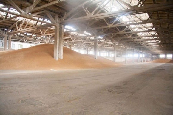 Діряві засіки: куди зникає зерно з Держрезерву України фото, ілюстрація