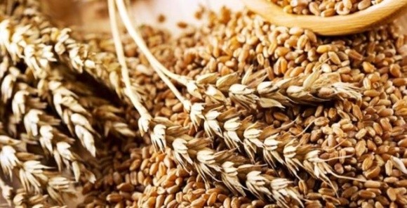 Швеція викупить в України зерно на $100 млн фото, ілюстрація