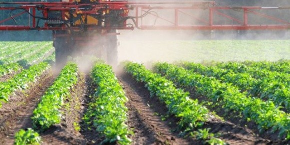 Турецька продукція — лідер з перевищення залишків пестицидів фото, ілюстрація