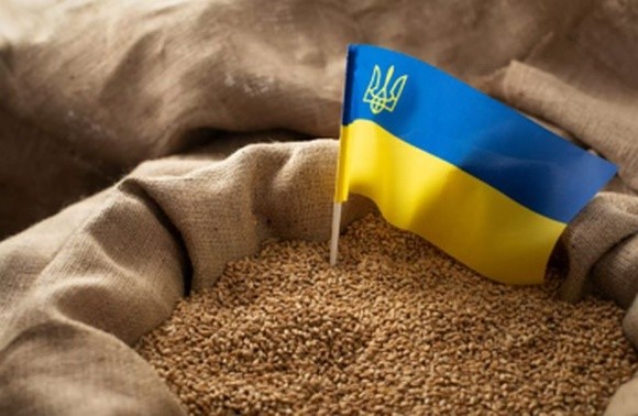 Заміна українського зерна обійдеться імпортерам занадто дорого, – Микола Горбачьов фото, ілюстрація