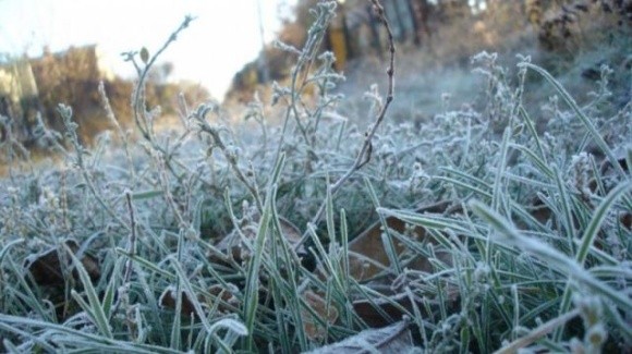 Прогнозовані заморозки ще більш погіршать умови проведення осінньої посівної в Україні, — експерт фото, ілюстрація