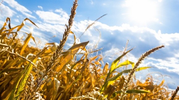 Літня посуха стане випробуванням для аграріїв України фото, ілюстрація