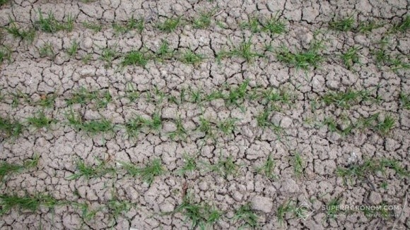 Чим загрожує Херсонщині посуха-2018 фото, ілюстрація
