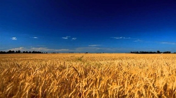 Новий міністр агрополітики окреслив головні завдання агросектору фото, ілюстрація