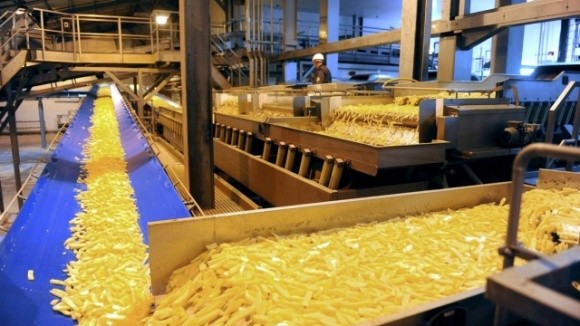 Potato Agro запустить в Україні завод із виробництва картоплі фрі фото, ілюстрація