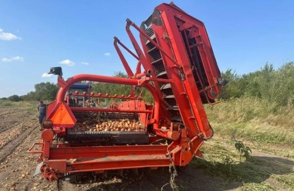 Через брак працівників доводиться збирати овочі комбайнами фото, ілюстрація