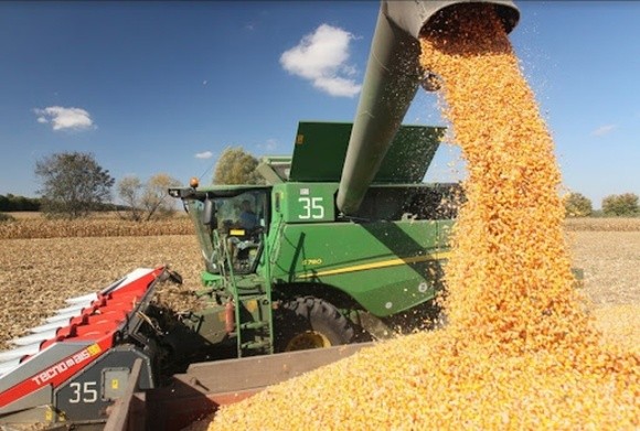На Дніпропетровщині зібрали рекордний урожай: 5 млн тонн зерна фото, ілюстрація