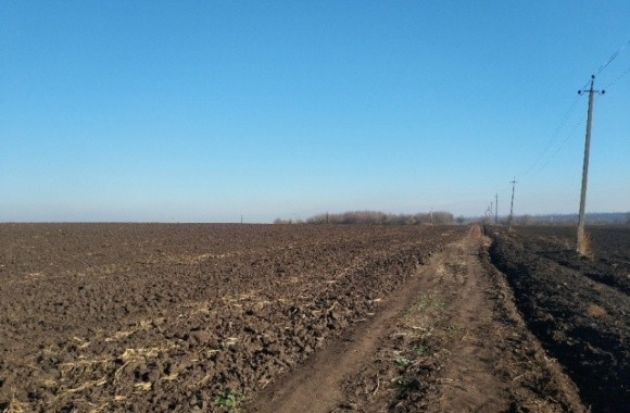 У Київській області знищили 250 ділянок атовців разом з городиною і саджанцями фото, ілюстрація