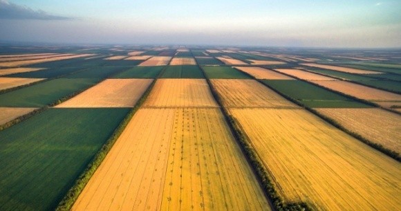 На земельну реформу та сільське господарство залучать 26 млн євро допомоги ЄС фото, ілюстрація
