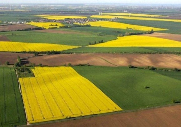 Як розрахувати прибутковість інвестицій в сільгосп землі при здачі в оренду фото, ілюстрація
