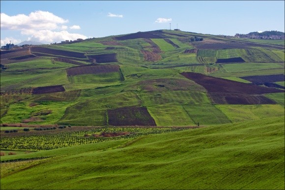 Берестечківська ОТГ на Волині може втратити 400 гектарів землі через аферу фото, ілюстрація
