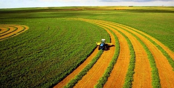 Земельний банк: за тиждень провели ще 13 аукціонів фото, ілюстрація