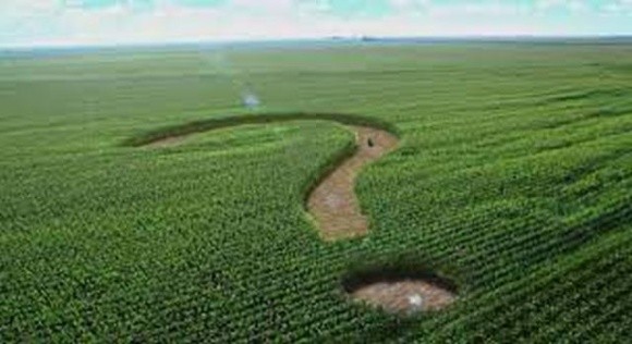 На Хмельниччині «фермер» викопав ставок на землях сільгоспризначення фото, ілюстрація