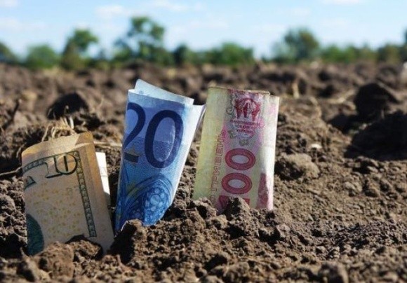 В якому регіоні України найдорожча сільськогосподарська земля  фото, ілюстрація