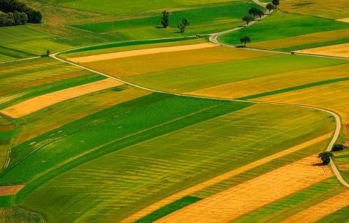 Ринок землі: що говорять політики і чи можна довіряти їхнім словам, — роз'яснює аналітик фото, ілюстрація