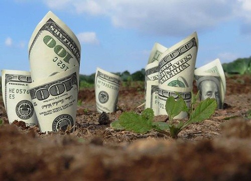 Після відкриття ринку землі вартість 1 га в Україні буде не нижче $3 тис., - депутат фото, ілюстрація