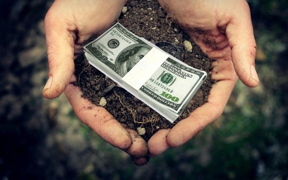1000 доларів з гектару — стільки втрачає український фермер через мораторій на продаж землі фото, ілюстрація