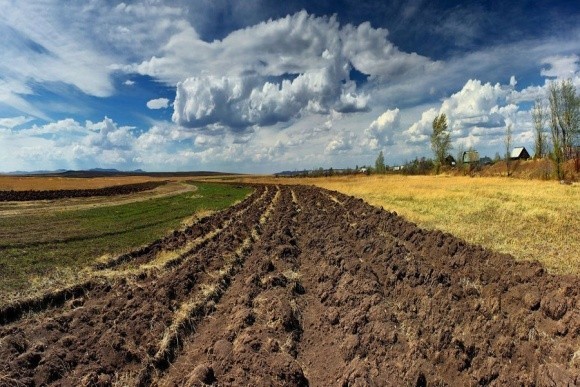 Земельний ринок України - один з найдешевших в Європі фото, ілюстрація