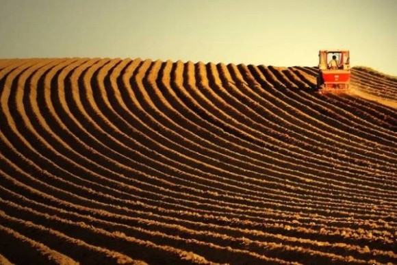 Відкриття ринку землі загальмує розвиток сільгоспвиробництва, - експерт фото, ілюстрація