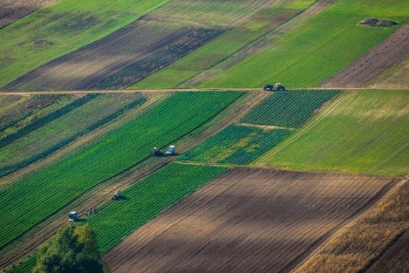 Земля безцінна: у Зеленського порадили українцям не поспішати з продажем паїв фото, ілюстрація
