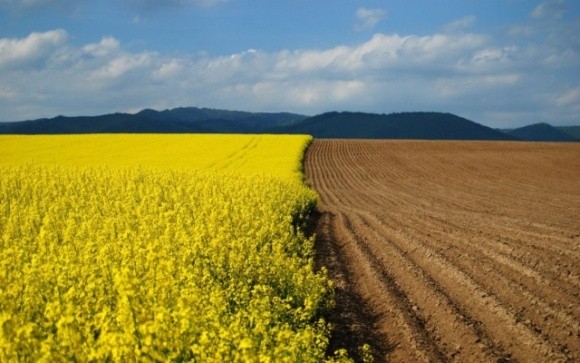 Близько 1,1 млн га підмораторних земель в Україні вже фактично продані, — Сольський фото, ілюстрація