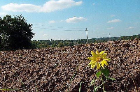 На Харківщині захоплюють агропідприємства із землею та врожаєм фото, ілюстрація