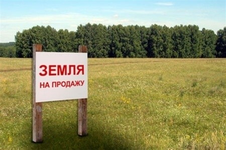 В Україні продано майже 20 тис. га сільськогосподарських земель фото, ілюстрація