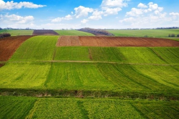 В Україні запустять ринок землі з 1 липня: хто і як зможе купити землю фото, ілюстрація