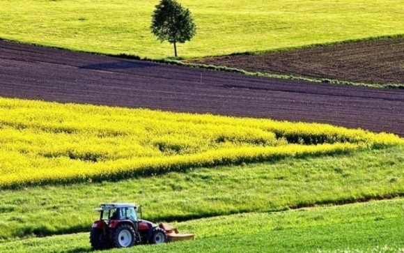 Як стартуватиме ринок землі в Україні: уроки Східної Європи фото, ілюстрація