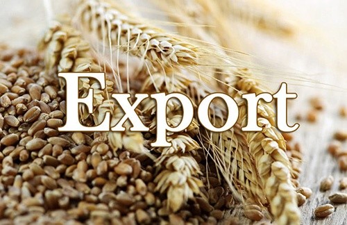 Експорт зерна з початку 2019/20 МР перевищив 17.5 млн. тон фото, ілюстрація