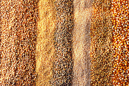 В Україні - дефіцит на якісне зерно для виробництва круп фото, ілюстрація