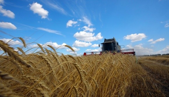 Урожай зернових та сої цього року буде рекордним по всій планеті фото, ілюстрація