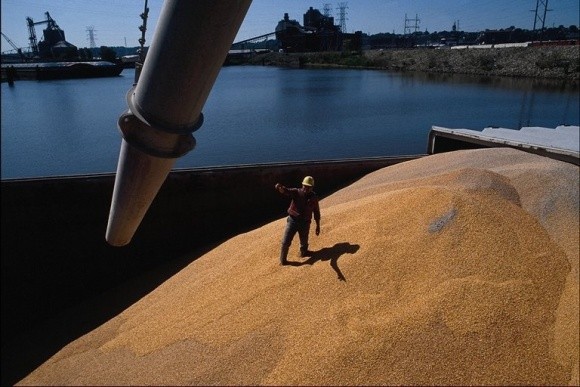 Цьогорічний експорт зернових вже більший, ніж у 2015 фото, ілюстрація