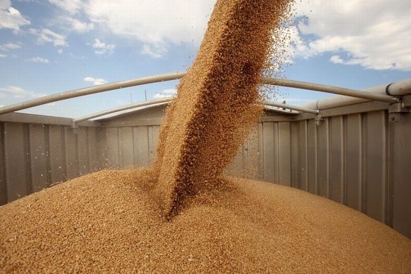 Україна збільшила експорт зернових фото, ілюстрація