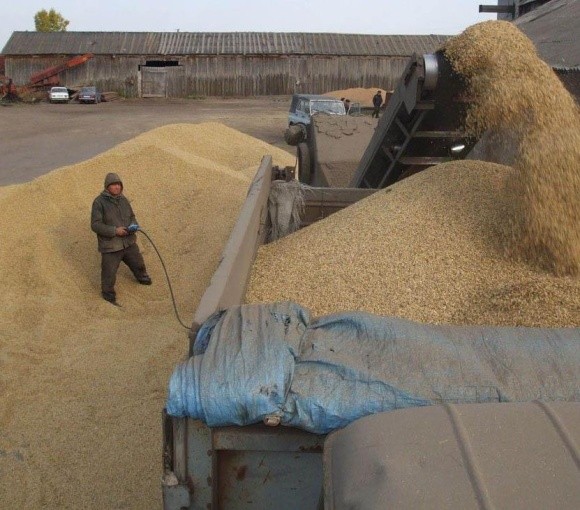 Уряд повинен ввести тимчасові вивізні мита на експорт зерна - економіст фото, ілюстрація