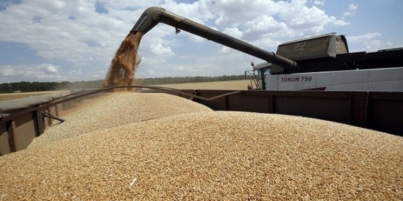 Україна експортувала зернових на 1,4 млн тонн менше, ніж у минулому році фото, ілюстрація
