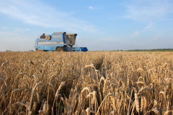 Врожай на Дніпропетровщині: як погода вплинула на посіви фото, ілюстрація